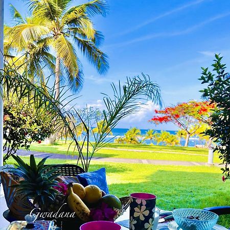 Accès Direct Plage, Magnifique Vue Mer, Gwanada Studio à Pierre et Vacances Sainte-Anne (Grande-Terre) Exterior foto