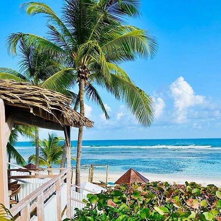 Accès Direct Plage, Magnifique Vue Mer, Gwanada Studio à Pierre et Vacances Sainte-Anne (Grande-Terre) Exterior foto