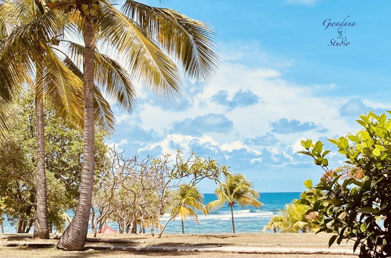 Accès Direct Plage, Magnifique Vue Mer, Gwanada Studio à Pierre et Vacances Sainte-Anne (Grande-Terre) Exterior foto